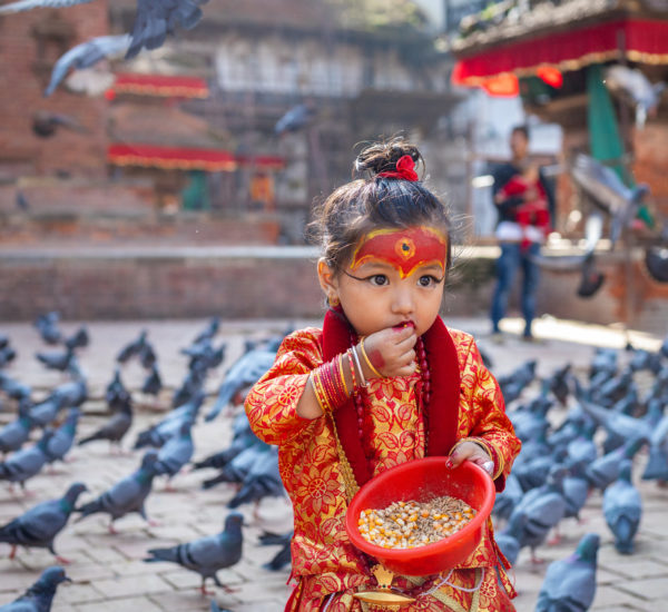 kumaris deesses vivantes nepalaises